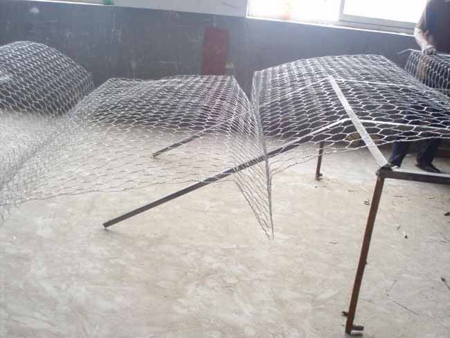 ��\���Z�o�|